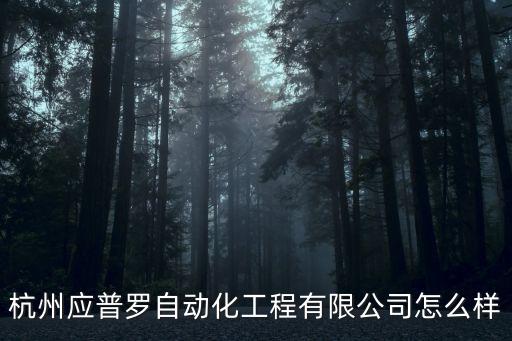 杭州應(yīng)普羅自動化工程有限公司怎么樣