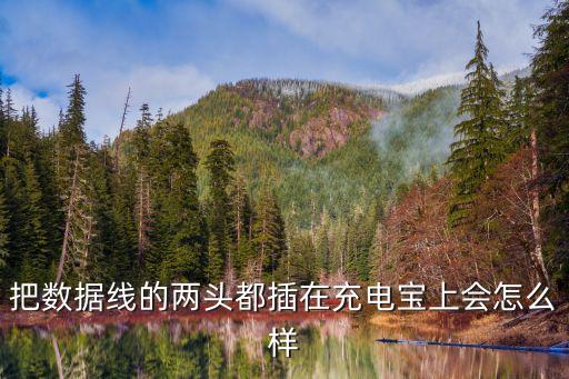 把數(shù)據(jù)線的兩頭都插在充電寶上會(huì)怎么樣
