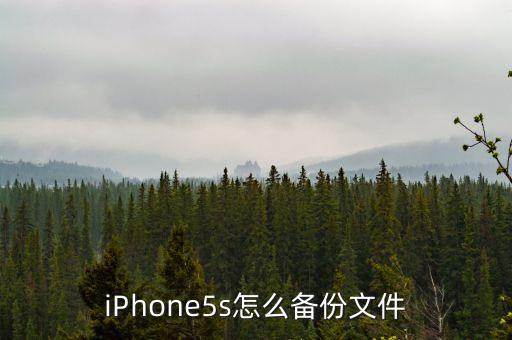 iPhone5s怎么備份文件