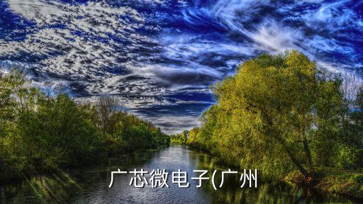  廣芯微電子(廣州