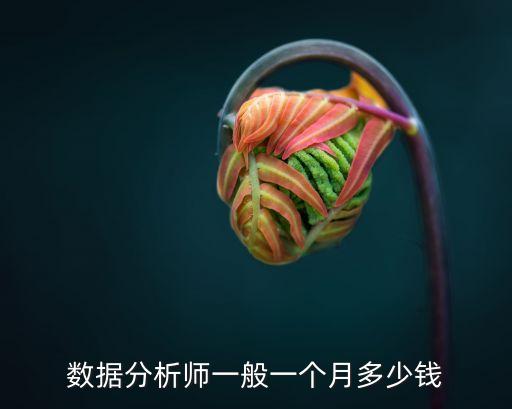 數(shù)據(jù)分析師一般一個月多少錢