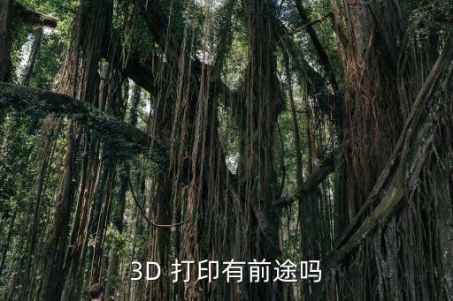 3D 打印有前途嗎