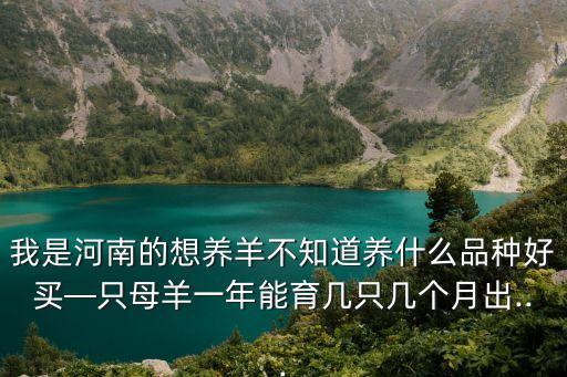 我是河南的想養(yǎng)羊不知道養(yǎng)什么品種好買—只母羊一年能育幾只幾個(gè)月出...