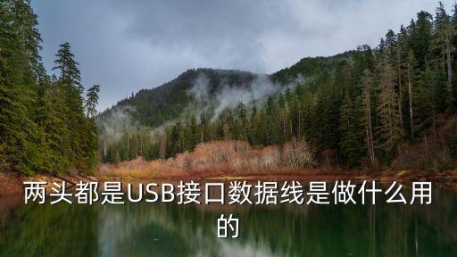 一根數(shù)據(jù)線2種插口好嘛,手機(jī)數(shù)據(jù)線插口有哪幾種?