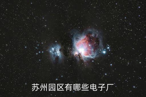 蘇州園區(qū)有哪些電子廠