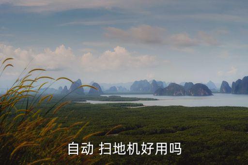 自動 掃地機好用嗎
