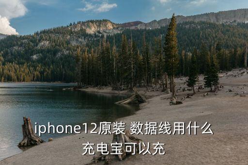 蘋(píng)果數(shù)據(jù)線移動(dòng)電源