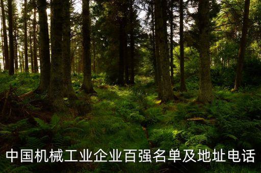 重型自動(dòng)化公司排名,自動(dòng)化行業(yè)公司排名