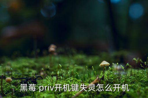  黑莓 priv開(kāi)機(jī)鍵失靈怎么開(kāi)機(jī)