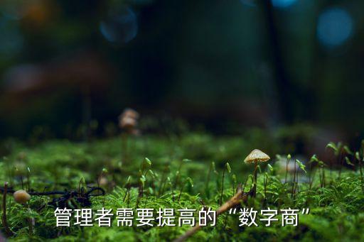 管理者需要提高的“數(shù)字商”