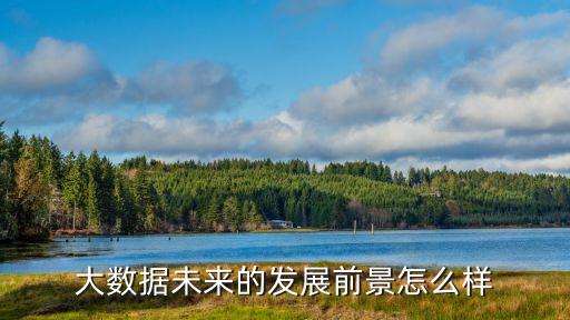 大數(shù)據(jù)未來(lái)的發(fā)展前景怎么樣