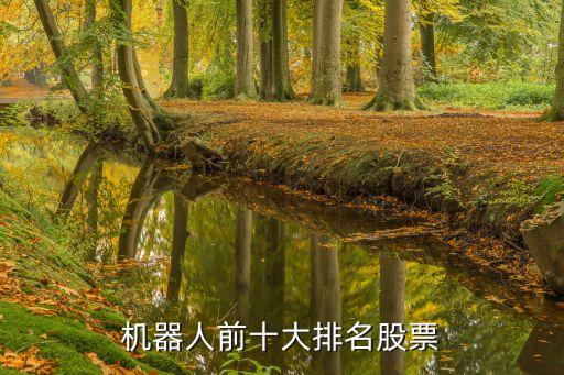 自動(dòng)化高端設(shè)備龍頭股票,高端裝備制造業(yè)龍頭股有哪些?