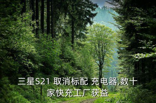 三星S21 取消標配 充電器,數(shù)十家快充工廠獲益