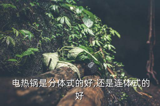  電熱鍋是分體式的好,還是連體式的好