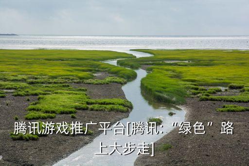 上海騰迅數(shù)據(jù)中心,騰訊在全國各地都有服務(wù)器