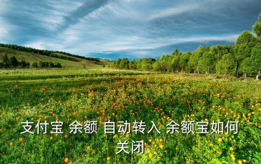 支付寶 余額 自動轉(zhuǎn)入 余額寶如何關(guān)閉