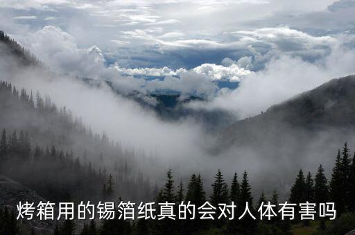 烤箱用的錫箔紙真的會對人體有害嗎
