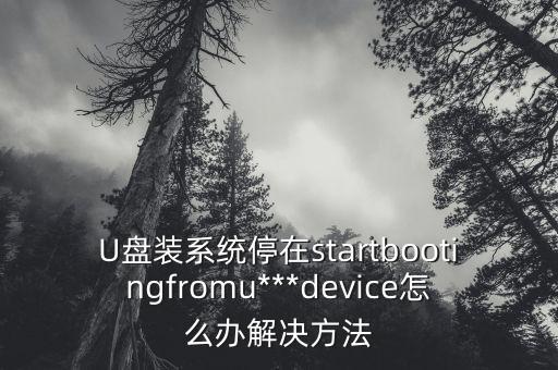 U盤(pán)裝系統(tǒng)停在startbootingfromu***device怎么辦解決方法