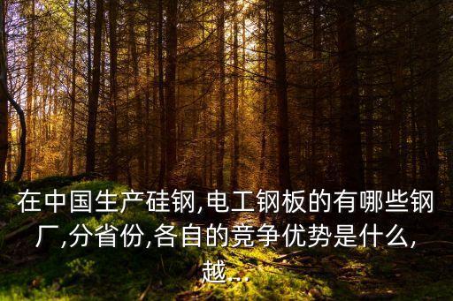 金屬硅爐前自動化設(shè)備