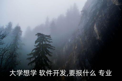 大學(xué)想學(xué) 軟件開發(fā),要報(bào)什么 專業(yè)