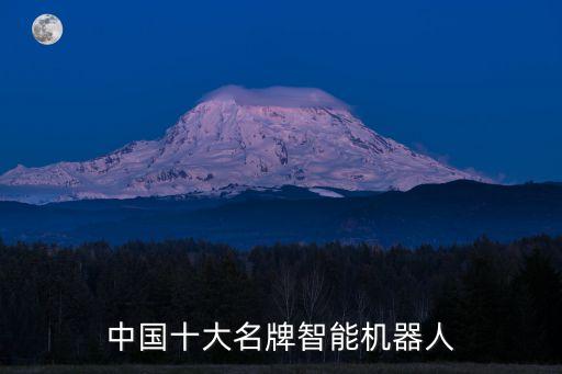 中國(guó)十大名牌智能機(jī)器人