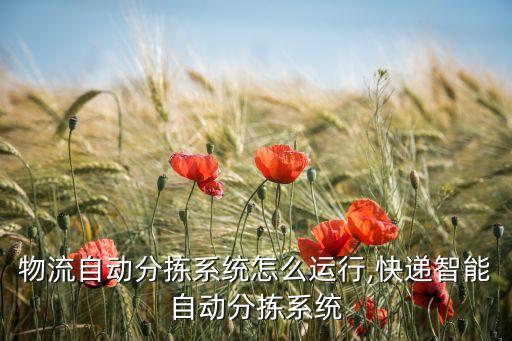 物流自動(dòng)分揀系統(tǒng)怎么運(yùn)行,快遞智能自動(dòng)分揀系統(tǒng)