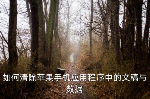 App清除文稿與數(shù)據(jù),怎么清除蘋(píng)果手機(jī)文稿與數(shù)據(jù)?