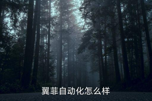 翼菲自動(dòng)化怎么樣