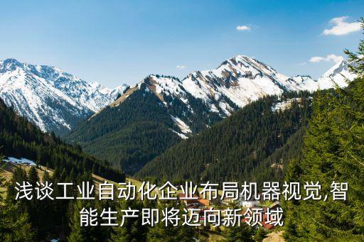 淺談工業(yè)自動(dòng)化企業(yè)布局機(jī)器視覺(jué),智能生產(chǎn)即將邁向新領(lǐng)域