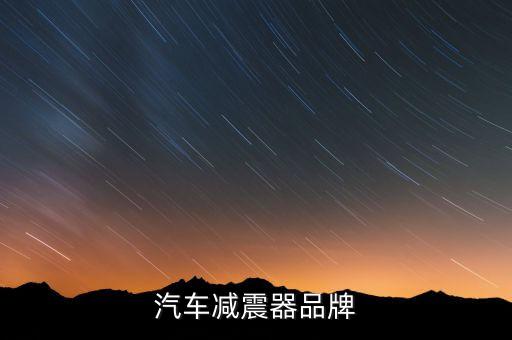 汽車減震器品牌