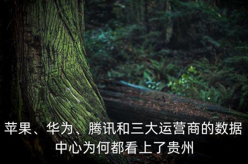 蘋果、華為、騰訊和三大運(yùn)營商的數(shù)據(jù)中心為何都看上了貴州