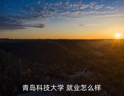 青科大自動(dòng)化專(zhuān)業(yè)就業(yè)情況,遼科大電氣工程及其自動(dòng)化就業(yè)情況