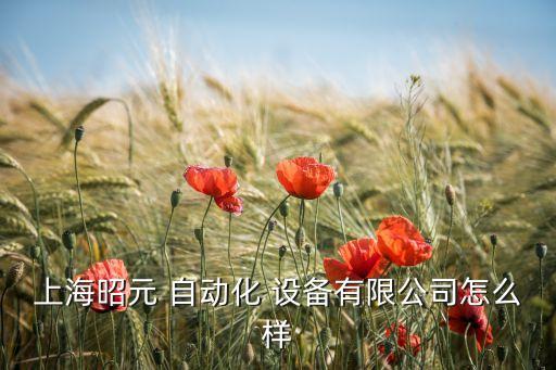 上海昭元 自動(dòng)化 設(shè)備有限公司怎么樣