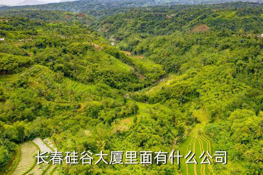 長春硅谷大廈里面有什么公司