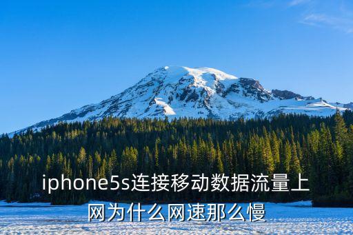 如果蘋果5s使用數(shù)據(jù)流量嗎,iphone怎么用4g流量?