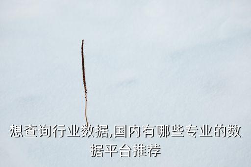 專業(yè)做數(shù)據(jù)的網(wǎng)站有哪些,免費數(shù)據(jù)源網(wǎng)站有哪些?