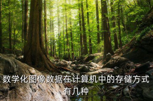 圖像數(shù)字化,數(shù)字圖像有哪些含義?