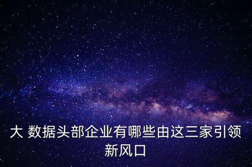 大 數(shù)據(jù)頭部企業(yè)有哪些由這三家引領(lǐng)新風(fēng)口