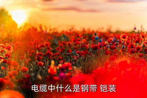 鎧裝