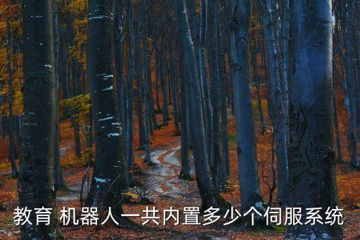 教育 機器人一共內(nèi)置多少個伺服系統(tǒng)