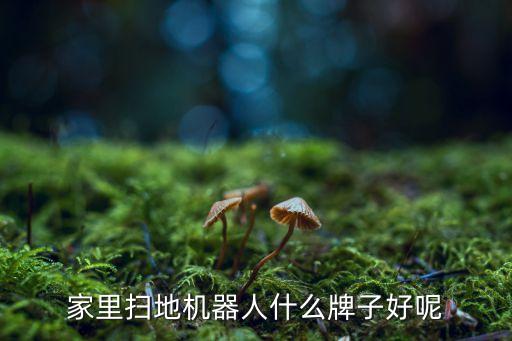 機(jī)器人的衣服品牌好,工業(yè)機(jī)器人哪個(gè)牌子好?十大品牌榜出爐