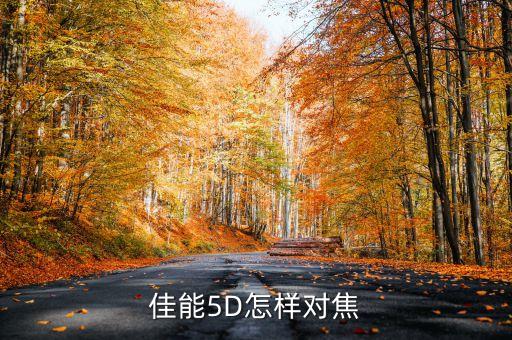 佳能5D怎樣對焦