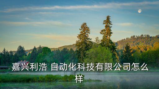  嘉興利浩 自動化科技有限公司怎么樣