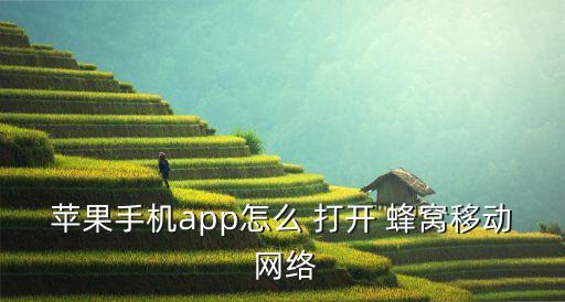 蘋果手機app怎么 打開 蜂窩移動 網(wǎng)絡(luò)