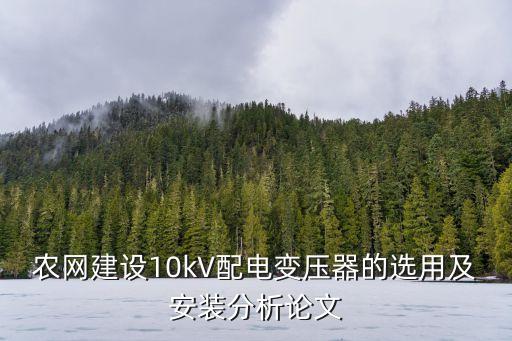 農(nóng)網(wǎng)建設(shè)10kV配電變壓器的選用及安裝分析論文