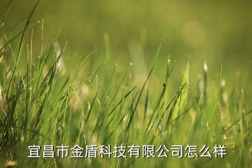  宜昌市金盾科技有限公司怎么樣