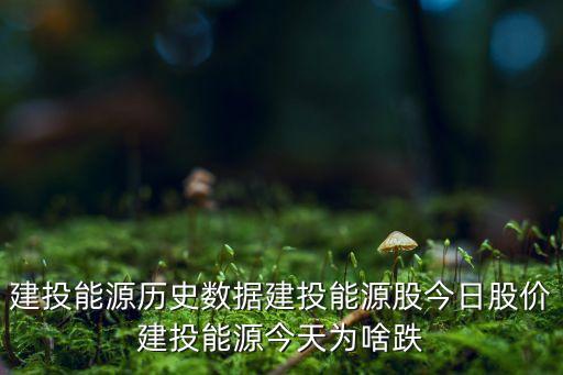 建投數(shù)據(jù)是什么公司,建投能源股是什么股?