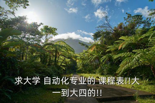 求大學(xué) 自動(dòng)化專業(yè)的 課程表!!大一到大四的!!