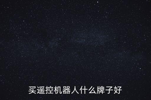 買遙控機(jī)器人什么牌子好