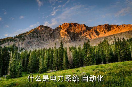 什么是電力系統(tǒng) 自動(dòng)化